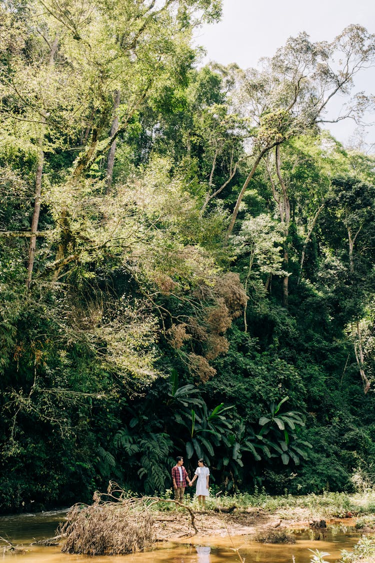 Couple Standing Facing Each Other And  Holding Their Hands On A Forest