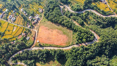 Aerial Shot of Curvy Road Surrounded by Green Trees 