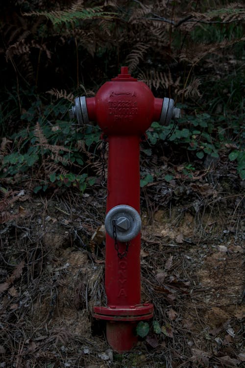 Kostenlos Kostenloses Stock Foto zu feuer hidrant, feuerlöscher, feuerwehr Stock-Foto