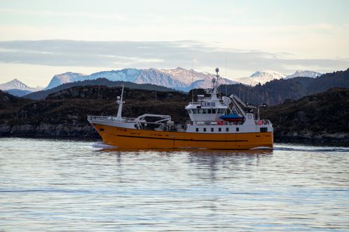 Free Yellow fishing vessel cruises through a Norwegian fjord with mountain backdrop. Stock Photo