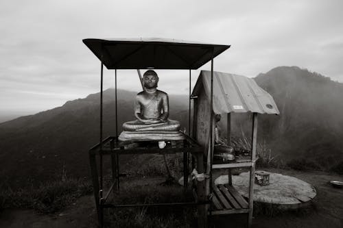 Бесплатное стоковое фото с будда, Искусство, сельский