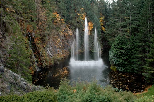 A peaceful autumn view of a fountain surrounded by lush greenery at Butchart Gardens in Canada.