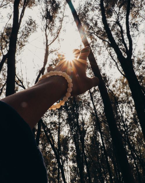 Free A hand with a bracelet reaching towards sunlight filtering through trees in a dense forest. Stock Photo