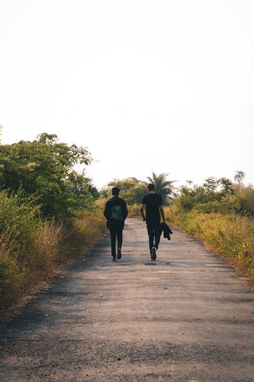 Free Two men walking on a rural paved road surrounded by greenery on a sunny day. Stock Photo