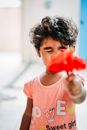 A Shy Girl Holding a Red Flower