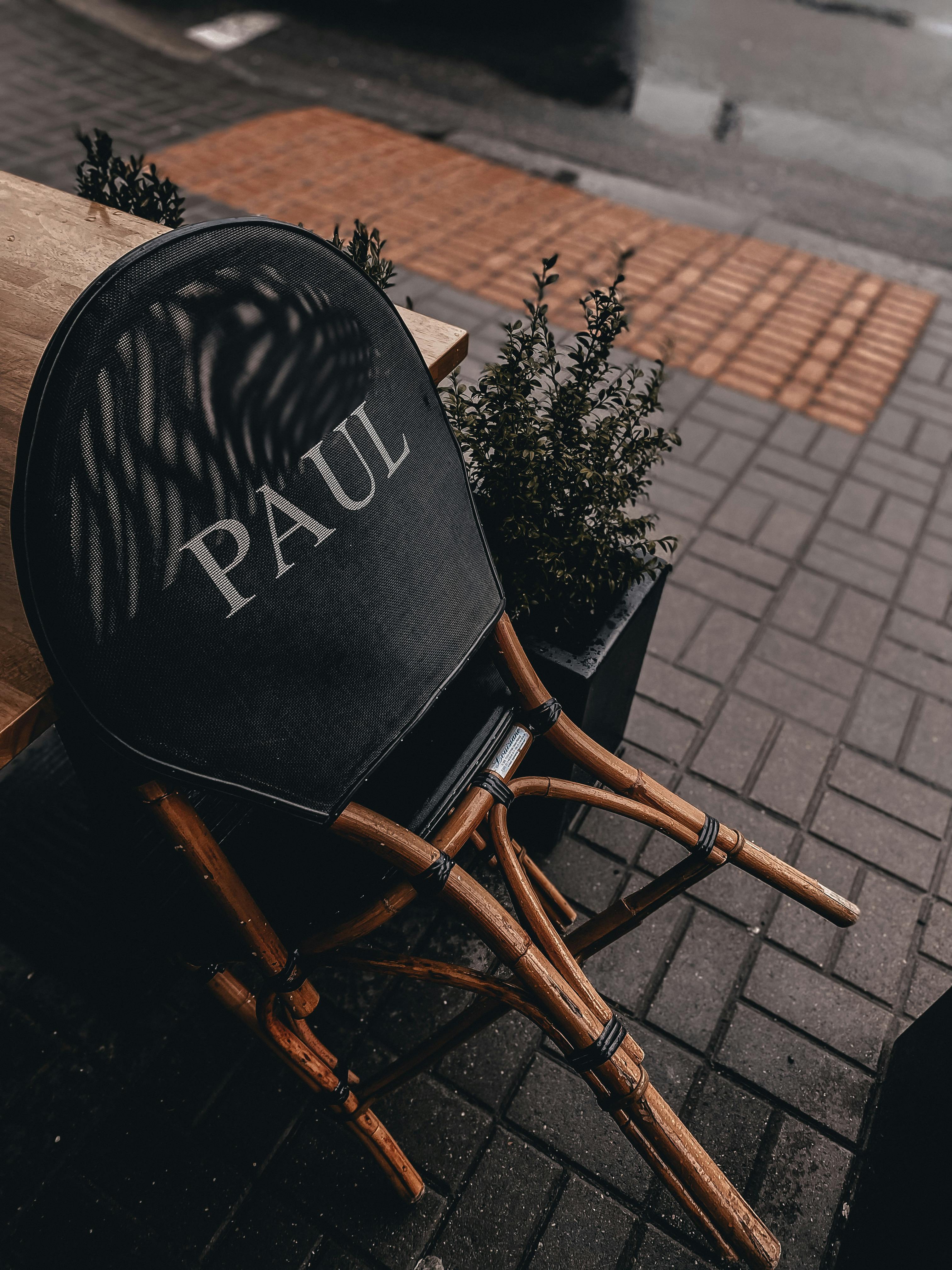 Chair Exercises Paul Eugene Photos, Download The BEST Free Chair