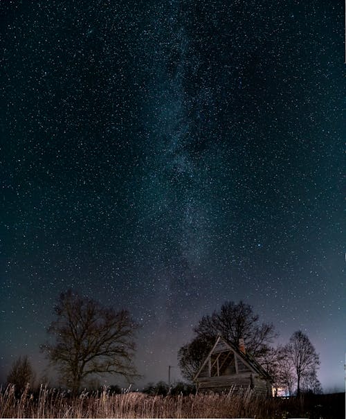 Fotobanka s bezplatnými fotkami na tému drevený dom, hnedá tráva, holé stromy