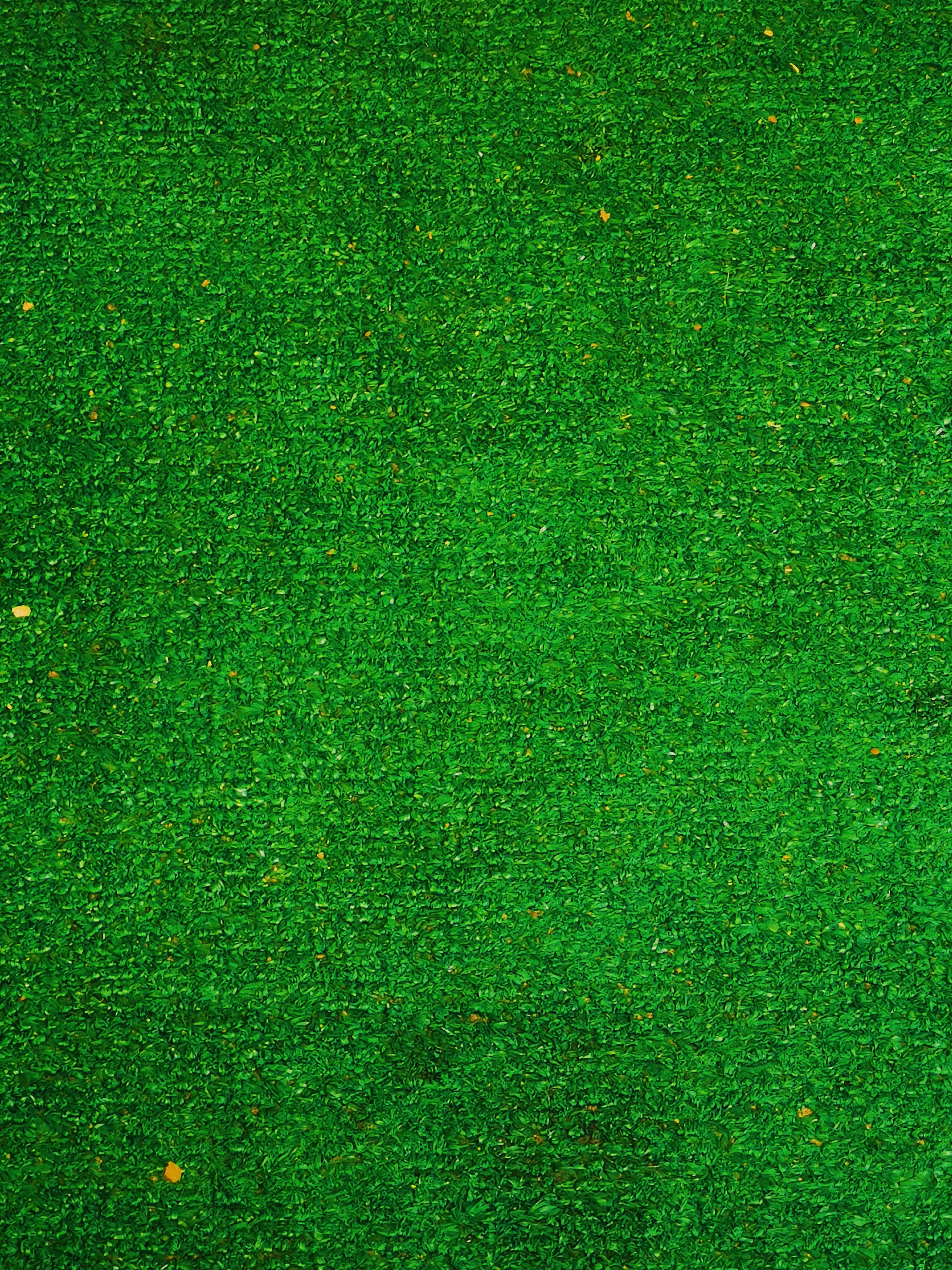 Diamond Solitaire Ring