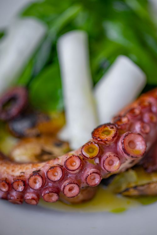 Free Close-up of a gourmet dish featuring octopus tentacles and fresh greens. Stock Photo