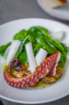 Fresh seafood salad featuring a grilled octopus tentacle on a bed of greens.
