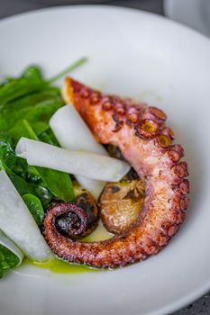 Delicious grilled octopus served with fresh greens and root vegetables on a plate.