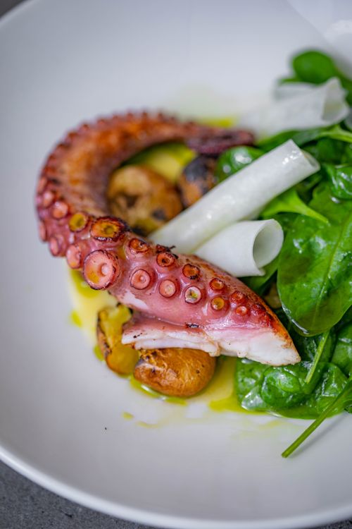 Free Close-up of a gourmet octopus dish with fresh vegetables and herbs, served in a white bowl. Stock Photo