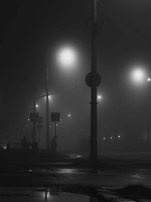 Street Lights Turned on during Night Time