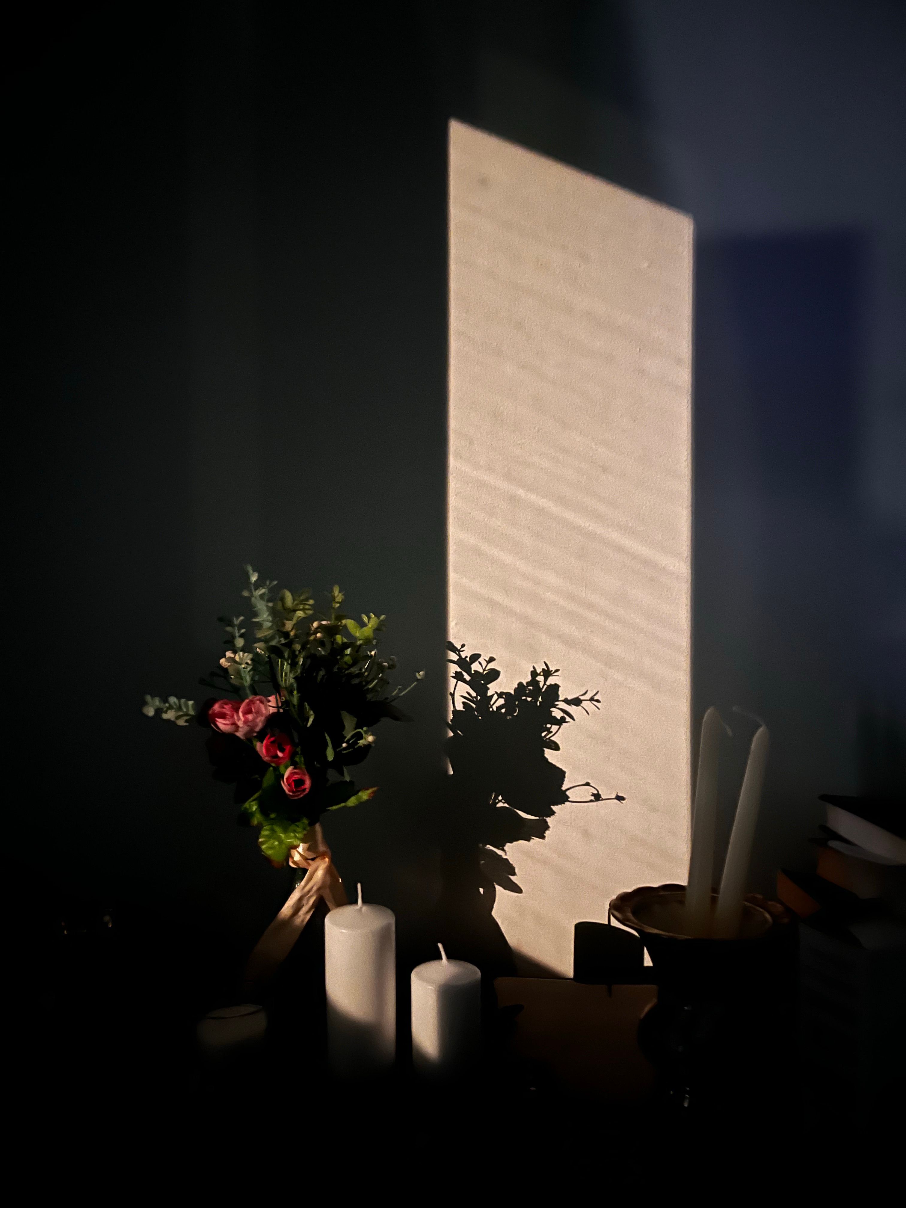 🥀 flowers in low light