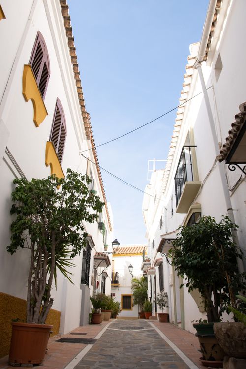Free Picturesque narrow alley lined with white Mediterranean houses and vibrant houseplants. Stock Photo