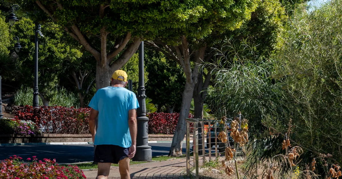 Older man in a cap walking through a sunny park