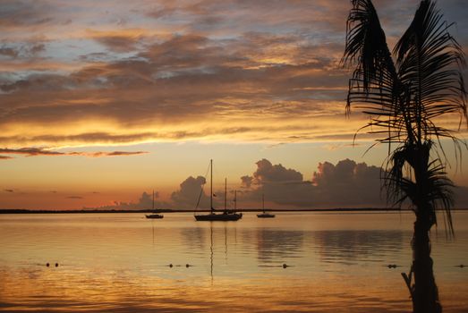 Peaceful sunset view with sailboats and a tranquil ocean reflecting vibrant colors.