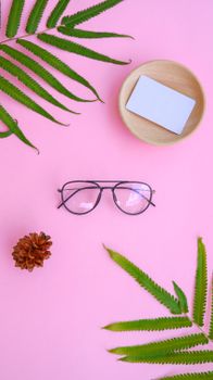 Eyeglasses with fern leaves and pine cone on a pink background create a fresh and modern look.