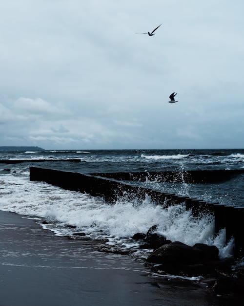 Ücretsiz Baltık Denizi, dalgalar, deniz içeren Ücretsiz stok fotoğraf Stok Fotoğraflar