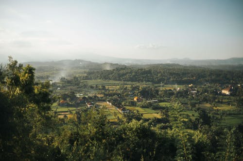 Gratis stockfoto met agrarisch, bomen, dronefoto