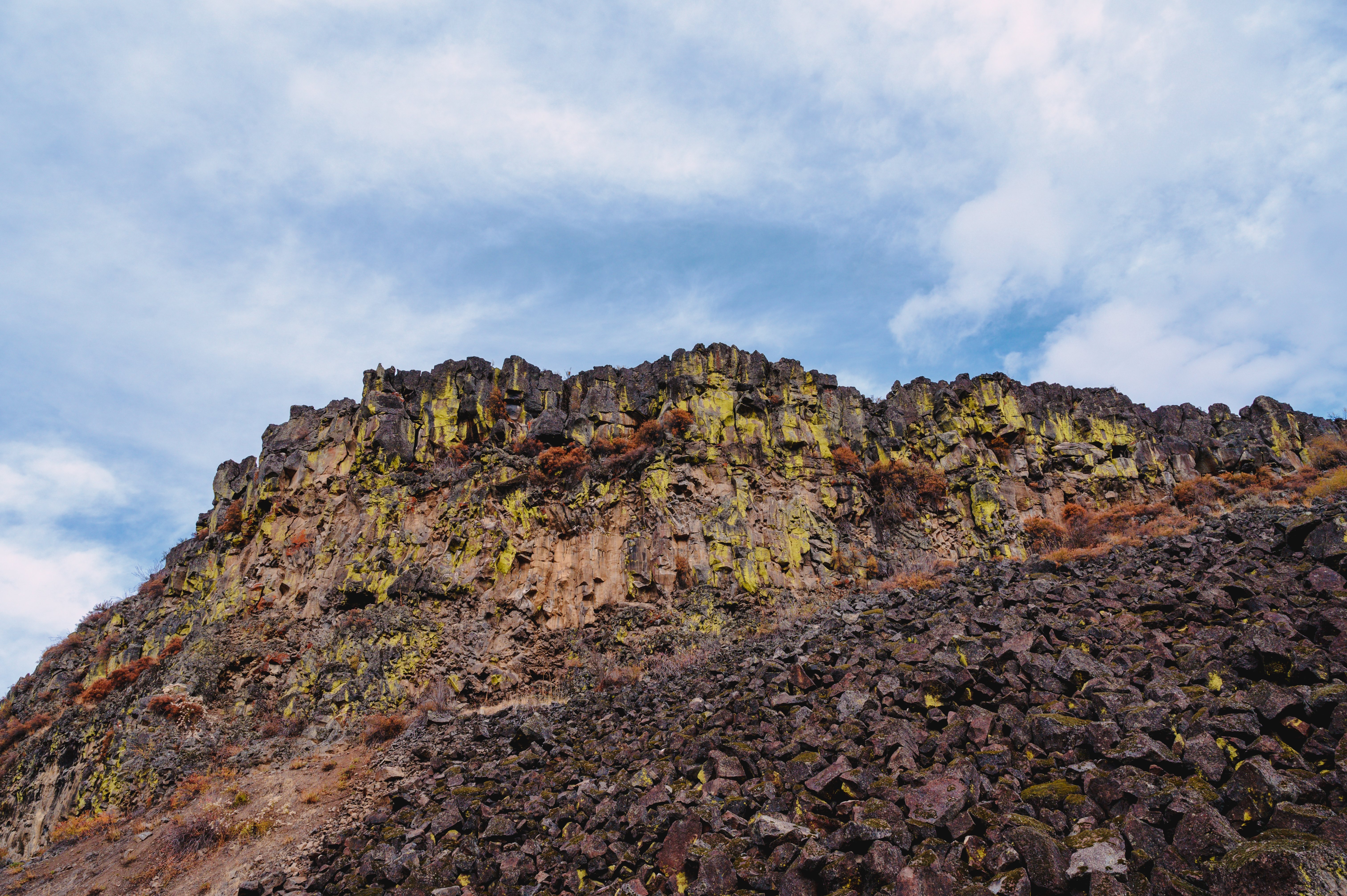 ‘The Precedent Is Flint’: How Oregon’s Data Center Boom Is Supercharging a Water Crisis — Photo by Brett Sayles on Pexels