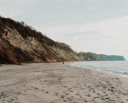 Scenic View of the Beach 