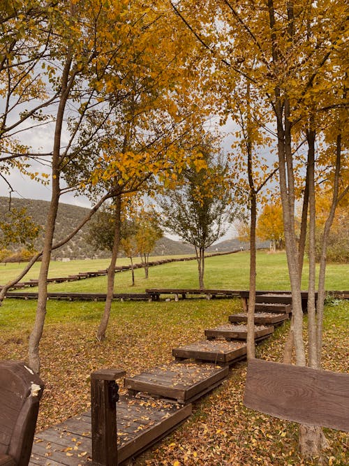 Brown Wooden Walkway on Green Grass Field 