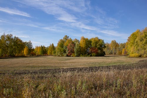 Land Tilled in the Farm Field