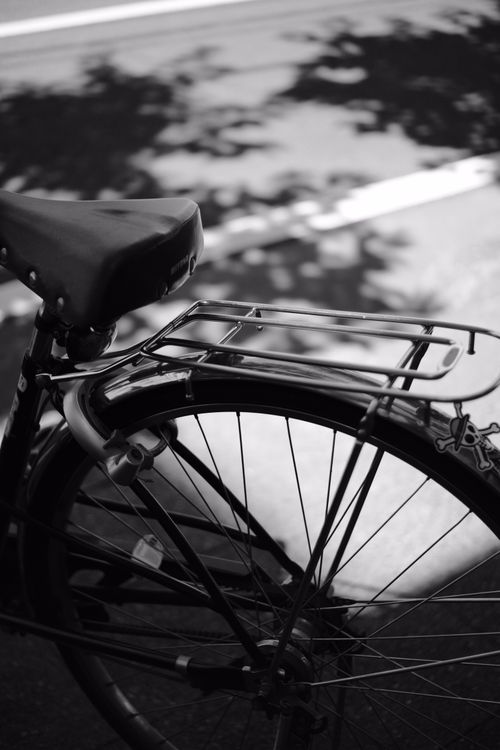 Free Close-up of a bicycle's rear wheel and carrier in a monochrome setting, with dramatic shadows. Stock Photo