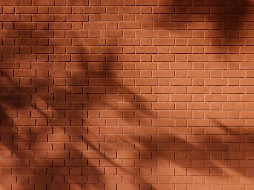 Leaves Shadow on Brown Brick Wall