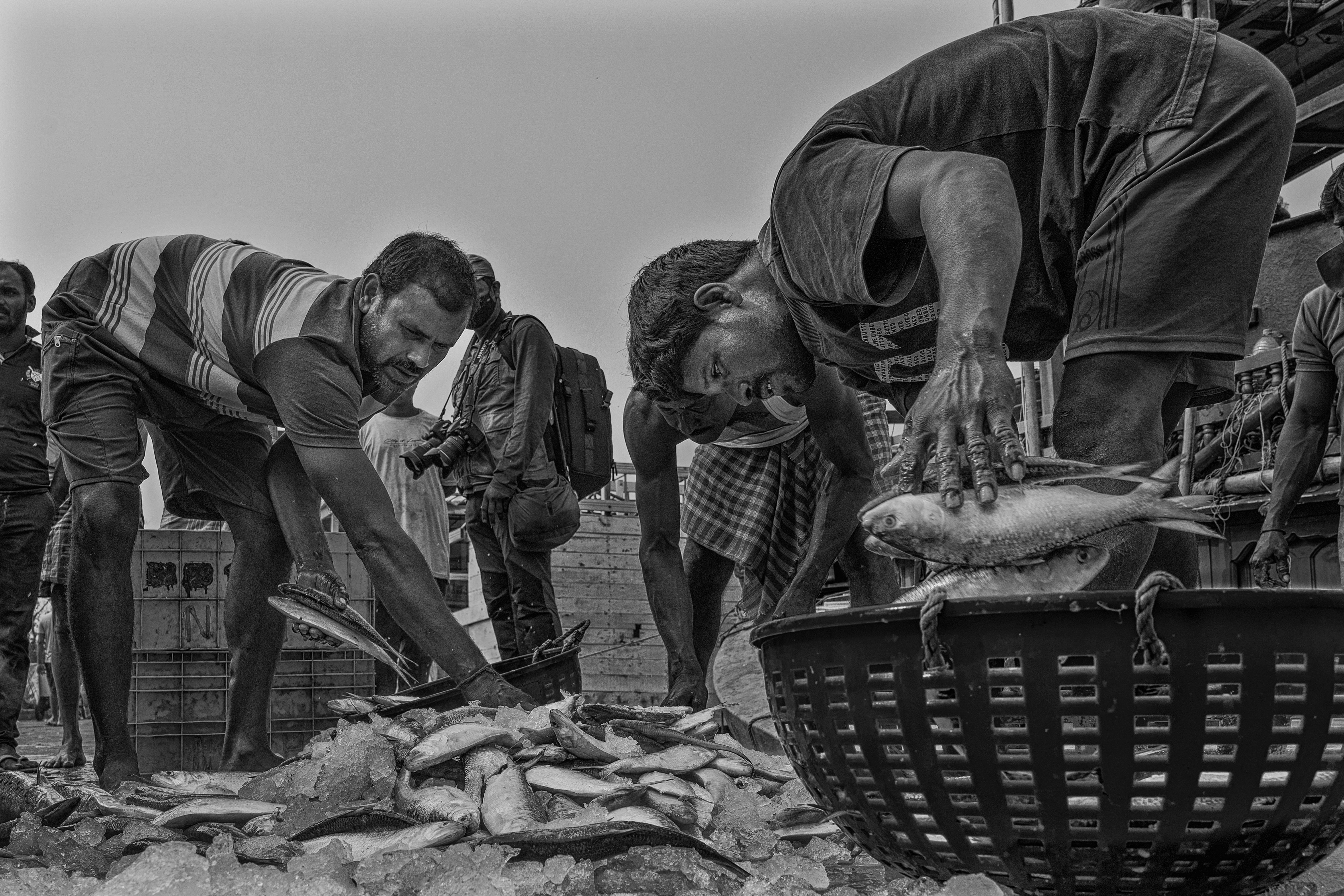 Conflict Over Fishing Rights and Resource Management at Maharashtra's Ujani Dam