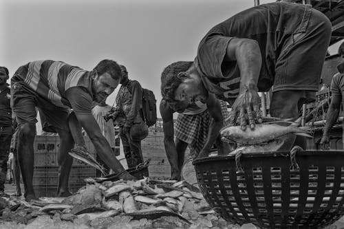 Black and White Photo of Men Holding Fresh Fishes