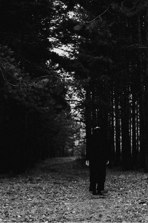 Free Grayscale Photo of Person Standing in a Scary Forest Stock Photo