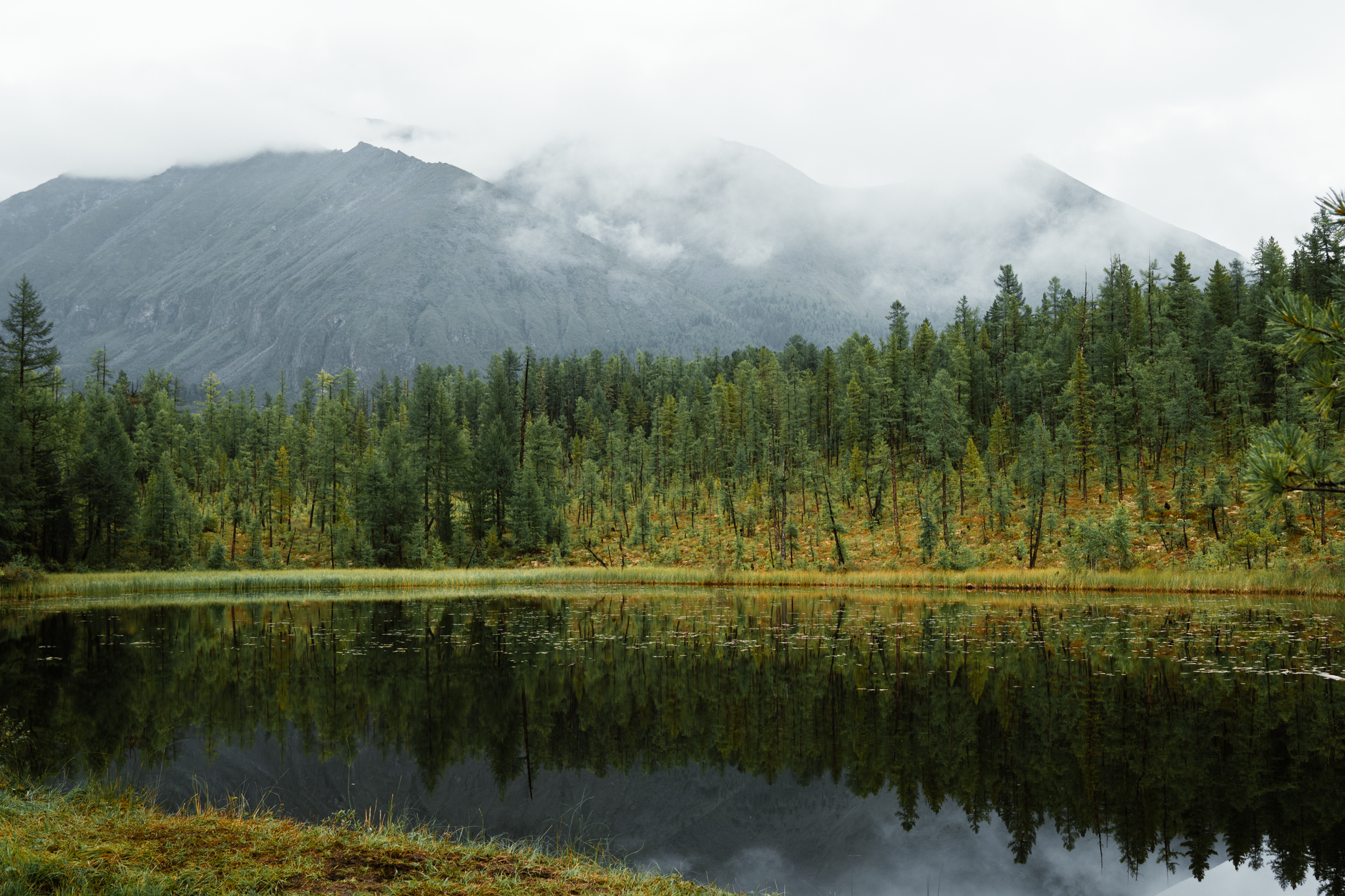Tranquil foggy mountain scene with green trees reflecting in a serene lake.