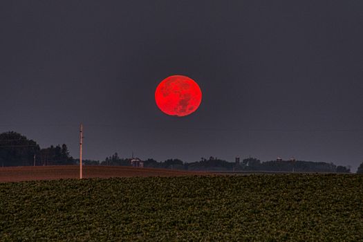 Capture of a vivid red harvest moon rising over lush farmland in Minnesota, USA.
