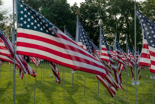 Gratis stockfoto met Amerikaanse vlaggen, gras, paal