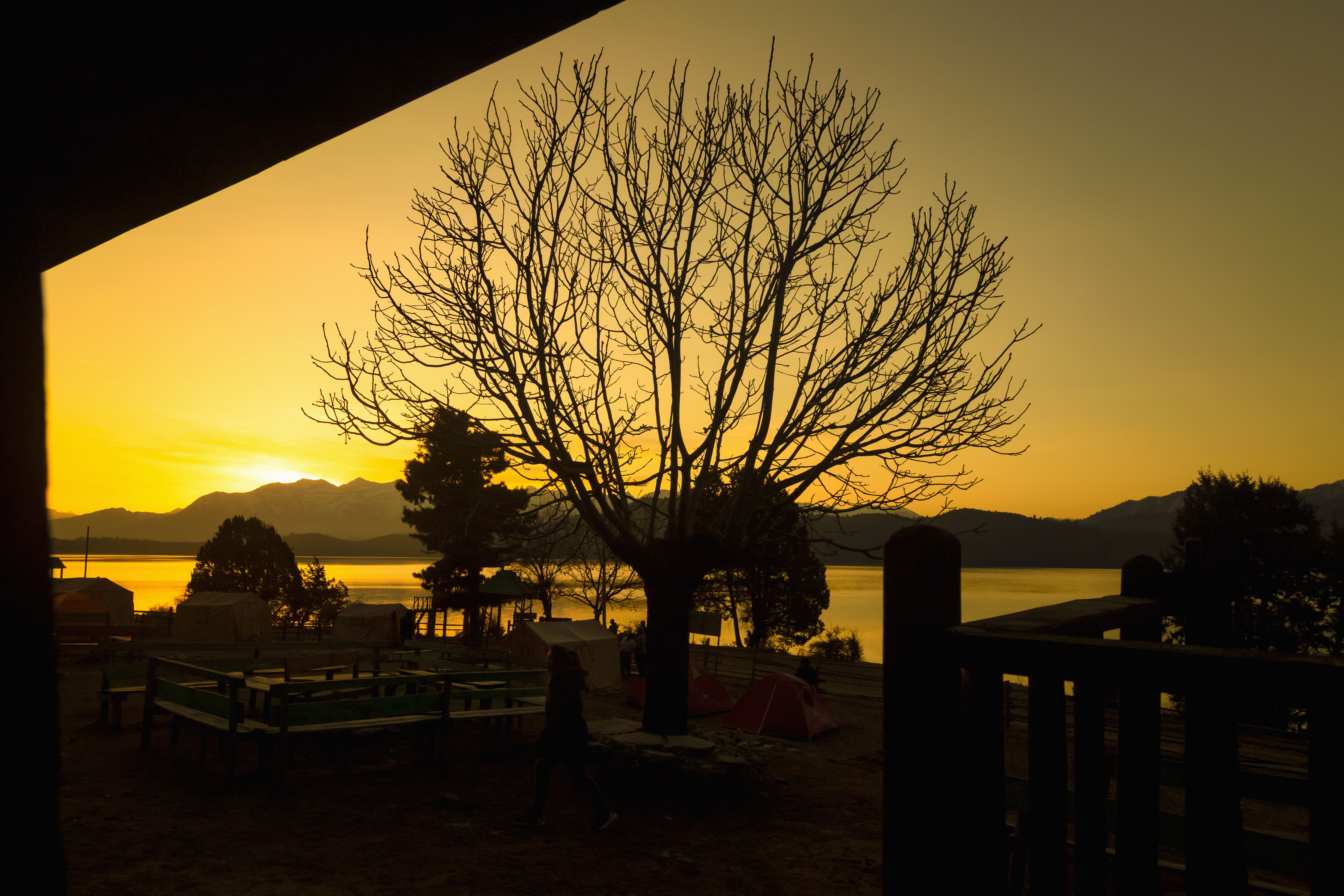 Sunset over the lakeside camp at Rara, tents glowing under a bare tree