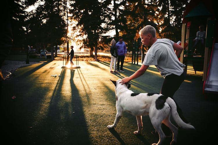 A Boy And His Dog At The Playground