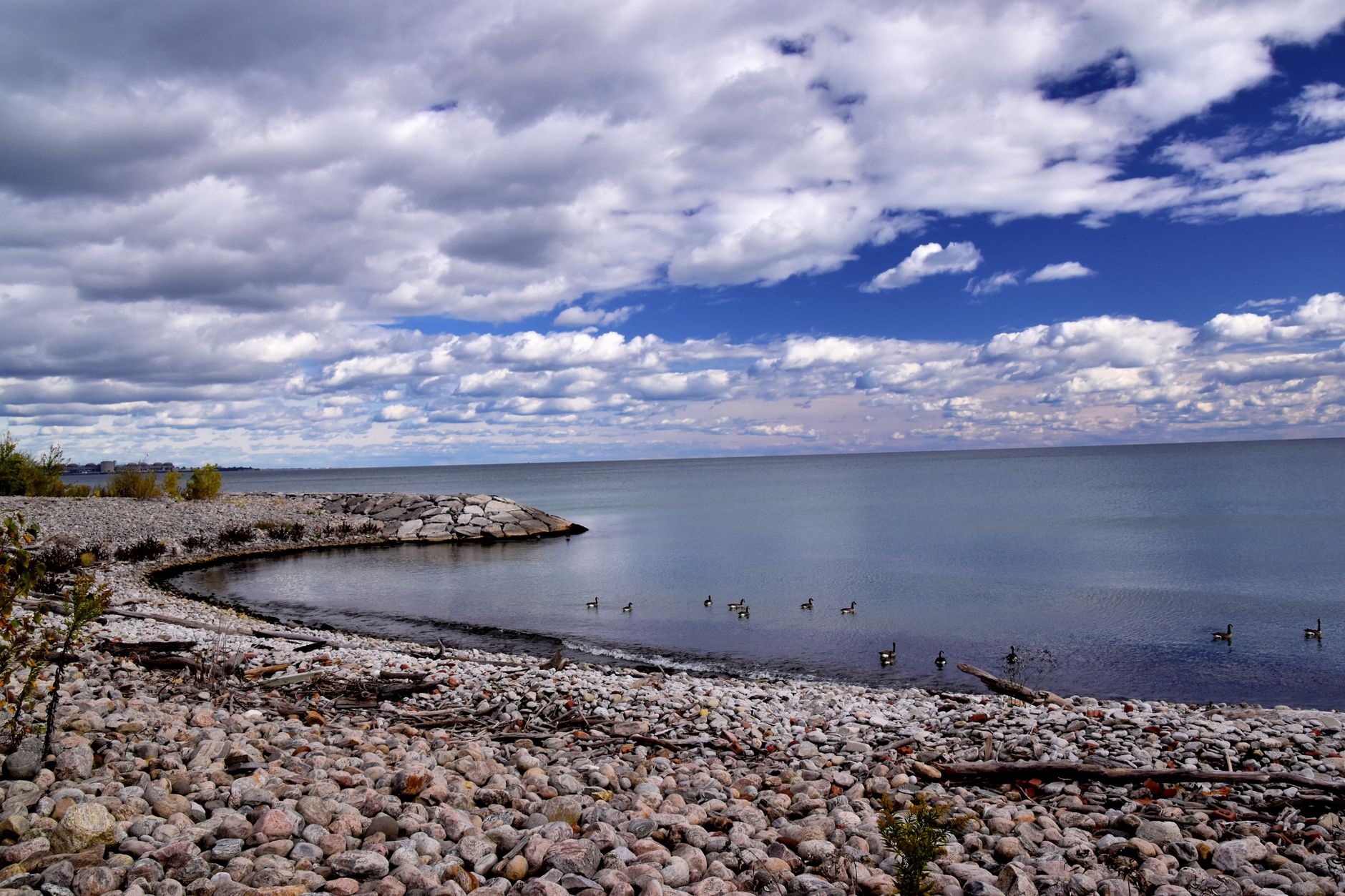 Peaceful rocky shoreline in Toronto with clouds and wild geese on the water.