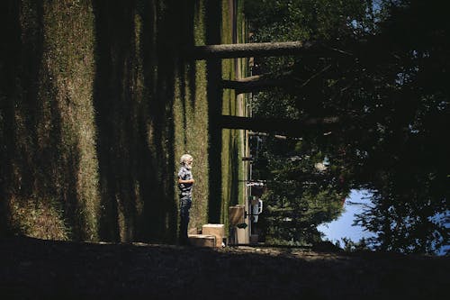 Immagine gratuita di alberi, anziano, erba