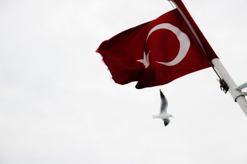 Free Turkish flag waving with a seagull soaring underneath a cloudy white sky, symbolizing freedom. Stock Photo