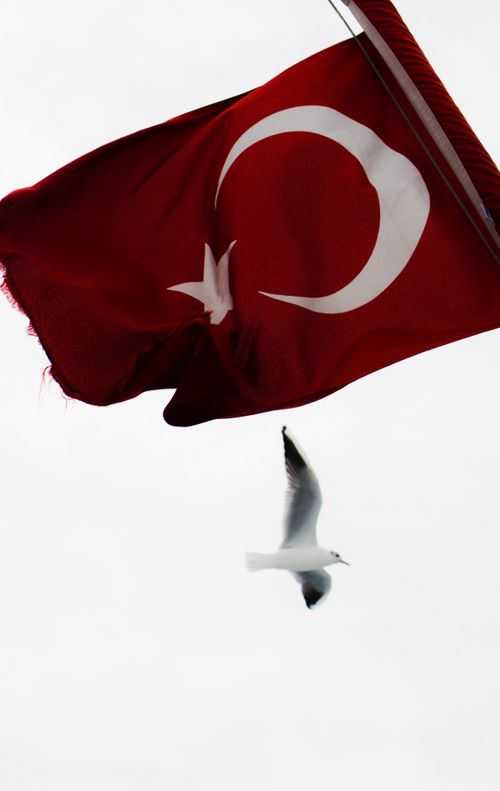 Free A seagull soars under the vibrant Turkish flag against a stark sky, symbolizing freedom and national pride. Stock Photo