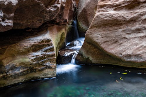 사우디 아라비아, 숲 자연, 아름다운 자연의 무료 스톡 사진