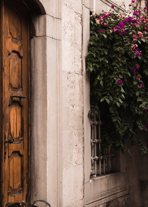 Brown Wooden Door on Pink Wall of a Building