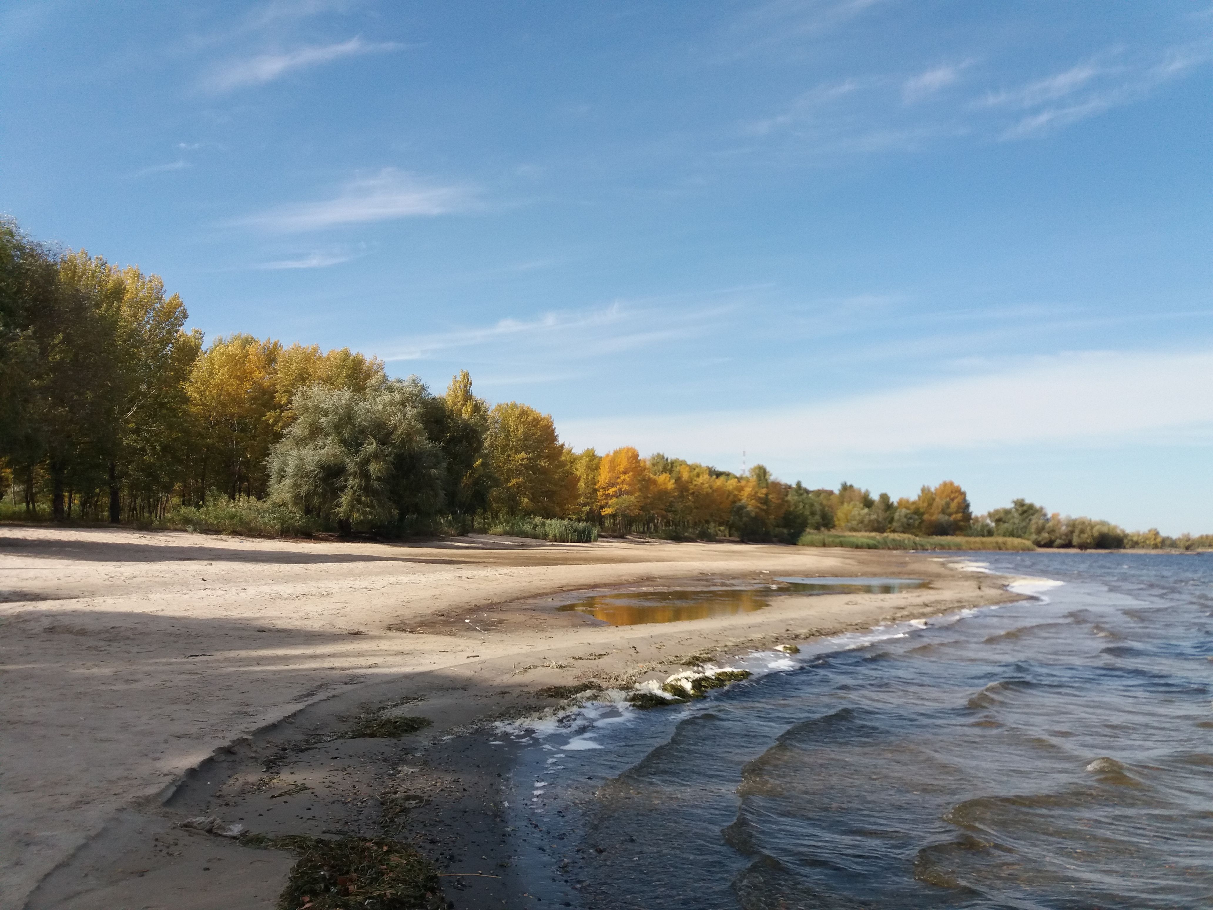 Peaceful autumn scene of a sandy beach with colorful trees by the water in Cherkasy, Ukraine.