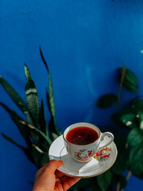 A hand holds an ornate tea cup with plants in the background and a striking blue wall.