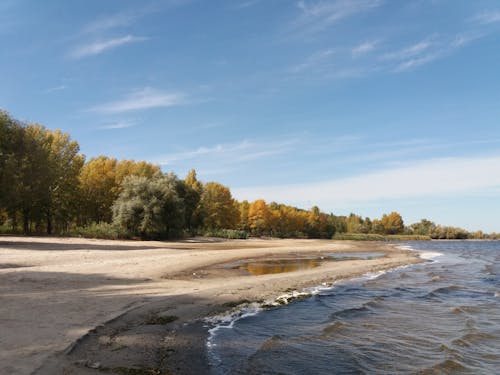 Autumn Trees Near Body of Water Under Blue Sky