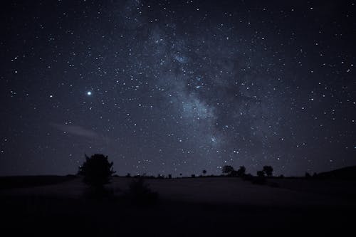 무료 밤, 별, 수평선의 무료 스톡 사진