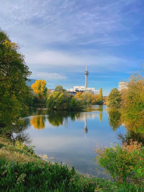 Free Explore the picturesque landscape with Rheinturm reflecting in the serene lake in Düsseldorf, Germany. Stock Photo