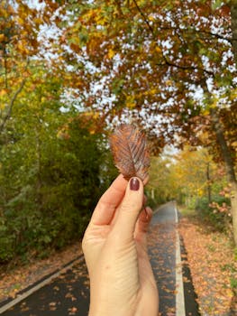 A hand holds an autumn leaf with vibrant colors, showcasing fall season on a tree-lined path.